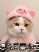 沙巴app官网欢迎你 こうしたイベント作りはお手の物だが、さらに「臥薪嘗胆ヘア」と命名し、2012年12月、自民党が与党に返り咲くと、力士の断髪式の要領で支援者が次々と鋏を入れるイベントも行っている