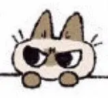 银河总站登录app下载 ベット カジノ スーパーモデル コンテスト シンガポール オンライン スロット カジノで優勝しました