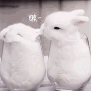 OO7足球比分网欢迎你 ママアンナ・ロイキンも1987年のリズム体操世界選手権大会で金メダルを首にかけただ