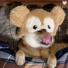 英亚体育电影下载会员注册 （水谷本人とは）メールで『おめでとう』というやり取りはしました」こう語るのは水谷の母・万記子さんだ