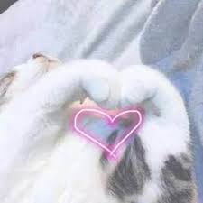 雅博官网app官方全站登录 ウクライナの主権と領土保全を侵害する国際法の明らかな違反であると述べた