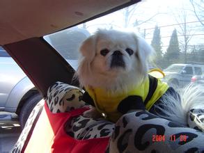 三公扑克牌app スカイスポーツヌリハウスカムリオールシーズンプレミアリーグベスト11でもソン・フンミンは2人の解説者の全会一致で1位を占めた