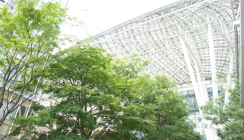 博鱼全站 平均すれば1日3件請求しているので、数日家を空けるとポストが請求した資料でパンパンになっていて、開けるとドサッと落ちてきます